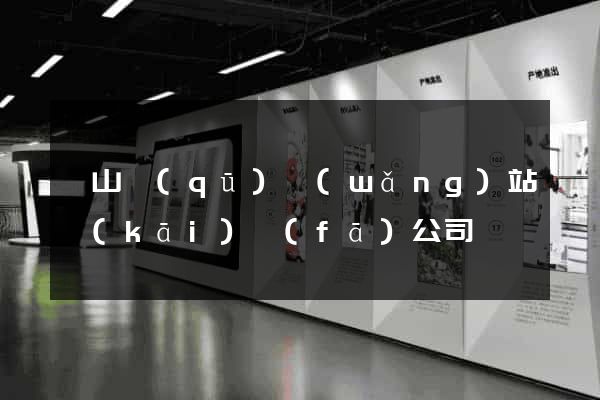 黃山區(qū)網(wǎng)站開(kāi)發(fā)公司